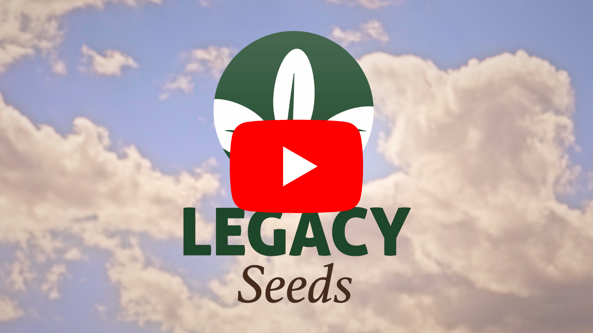 The Legacy Seeds Story