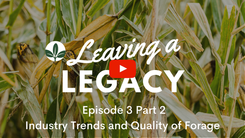 Episode 3 Part 2 Industry Trends and Quality of Forage